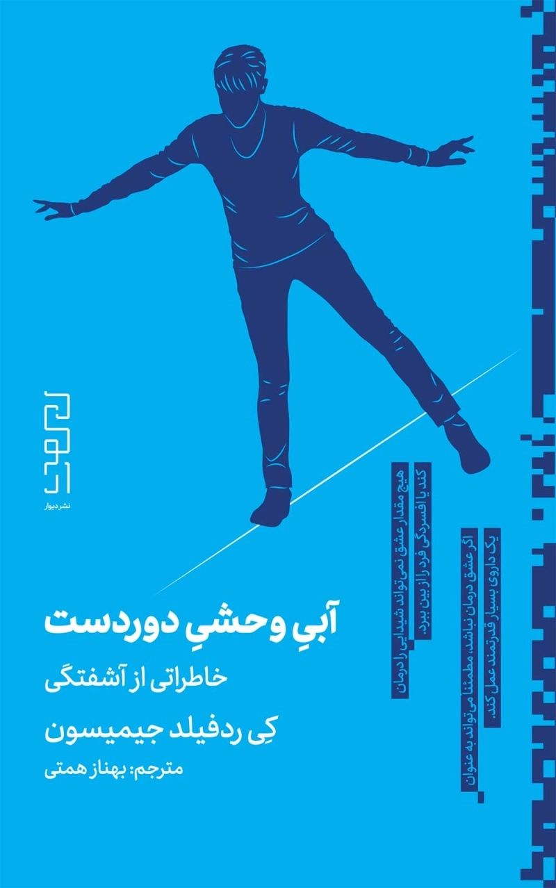 آبی وحشی دوردست، خاطراتی از آشفتگی