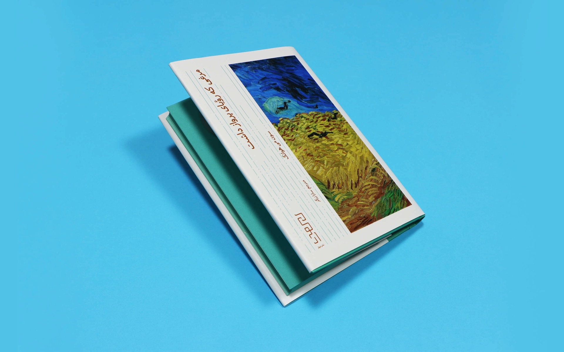 مرغی که رویای پرواز داشت