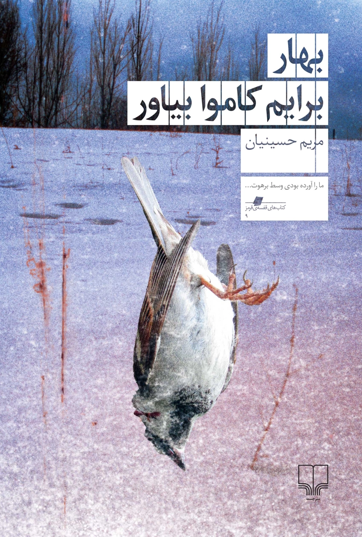 انتشار رمان زنده‌یاد مریم حسینیان در آمریکا