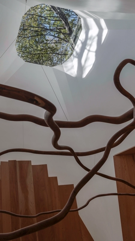 معماران معاصر از نمای نزدیک